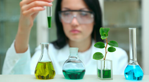 Food technician analyzes samples of natural flavor products.