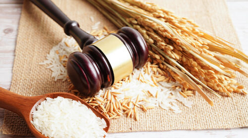 A gavel next to wheat, rice, and grains.