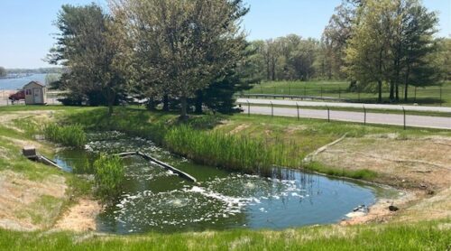 Tilley's retention pond in Belcamp, MD.