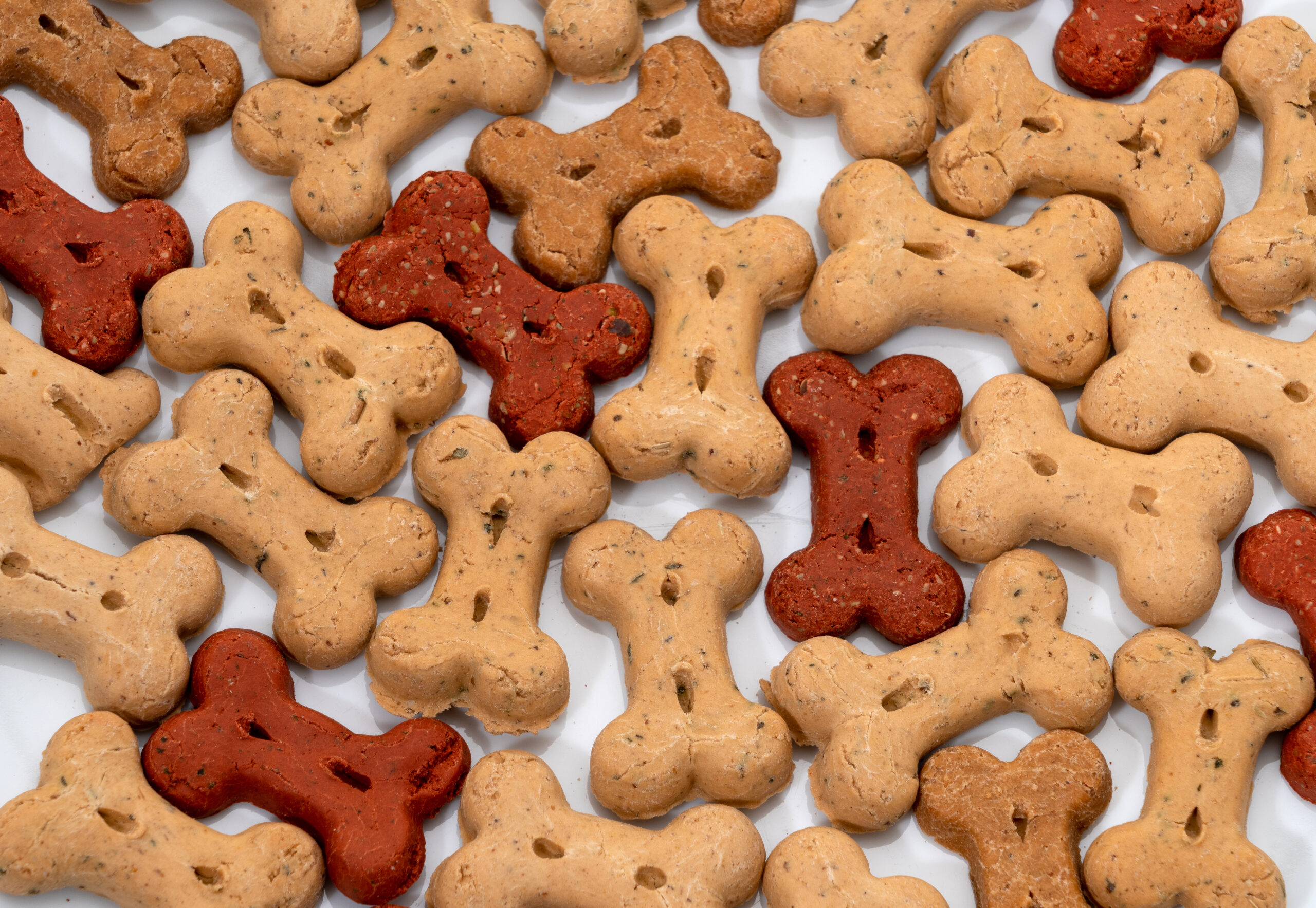 Multi-color dog treats over a white background