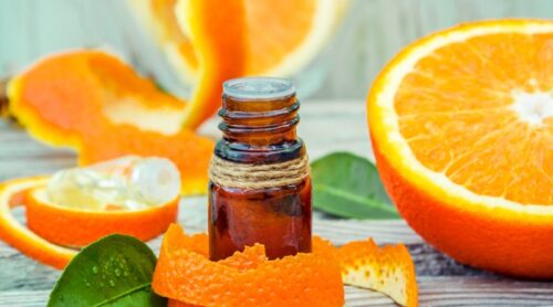 Citrus fragrance in a vial surrounded by sliced oranges.